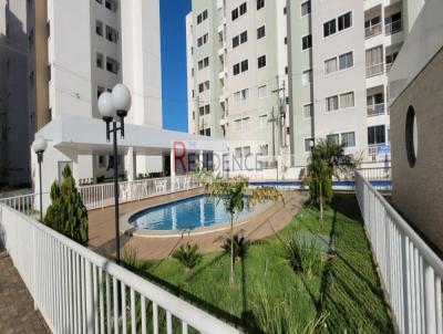 imagem-miniatura